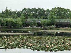 -白鹭湾湿地公园