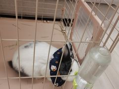 -惠康宠物医院(华能路店)