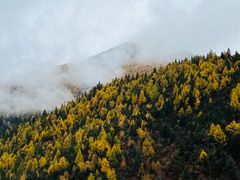 -亚拉雪山风景区