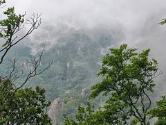 -牛背梁国家森林公园