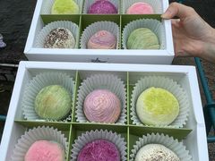 -好一朵茉莉花(老门东店)