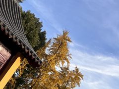 -鸡鸣寺
