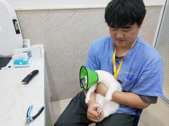-福懋动物医院·犬猫全科·外科·重症科(杏林分院)