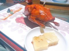 红烧乳鸽-大鸽饭(北京路店)