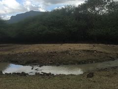 -卡塞拉自然公园