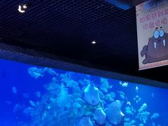 -华夏文旅海洋公园