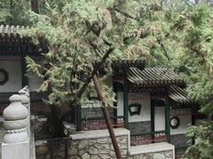 -香山公园