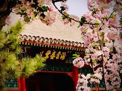 -海棠花溪(元大都城垣遗址公园)