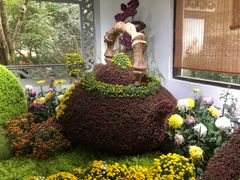 -杭州植物园