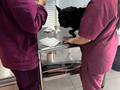 -瑞派福兴宠物医院犬猫全科·骨科·中西医结合(河东店)