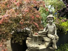 -双季花艺园艺市场(浦东店)