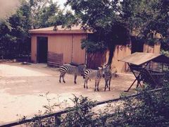 -广东茂名森林公园