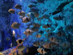 -沈阳海洋探索中心