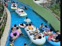 -重庆海昌加勒比海水世界