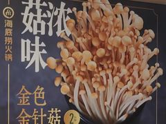 金色金针菇-海底捞火锅(杭州天虹购物中心店)