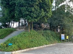 -广州市帽峰山景区