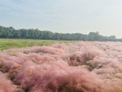 -汉长安城未央宫国家考古遗址公园