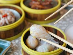 -金香匯晚茶(浑南店)