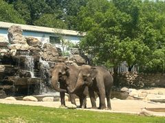 -北京野生动物园