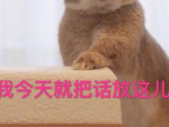-山之川日料放题(通州店)