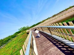 -江苏三台山国家森林公园