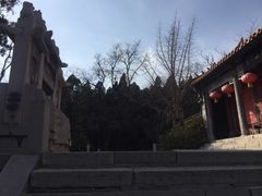 -原山国家森林公园