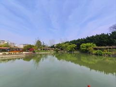 -嘉定紫藤园