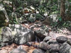 -阳台山森林公园