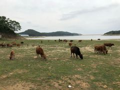 -东湖落雁景区