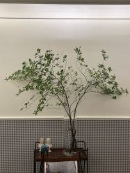 -Fancy梵汐·轻奢量肤定制