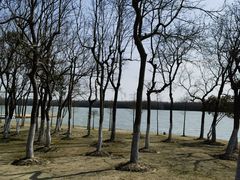 -上海海湾国家森林公园