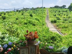 -东莞植物园
