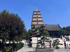 -大慈恩寺(大雁塔)