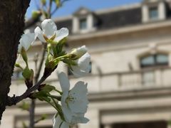 -天伦里餐厅(绿城桃花源店)