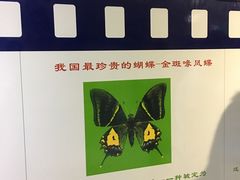 -上海昆虫博物馆