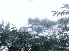 -三清山希尔顿度假酒店