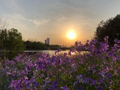 -滨湖塘西河公园