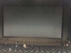 -天幕新彩云国际影城(激光巨幕店)