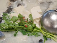 -宝荣鱼馆·临湖之宴(千岛湖店)