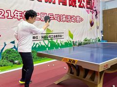 -大凤凰乒乓球馆