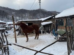 -雪谷