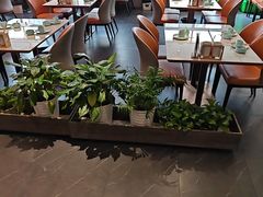 -松沪名灶·豆浆鱼头·新上海菜(江川路交大店)