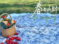 -朝阳公园