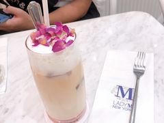 -Lady M(沙田新城市广场店)