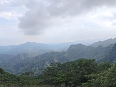 -六里坪国家森林公园