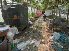 -马陆小张葡萄园农家乐