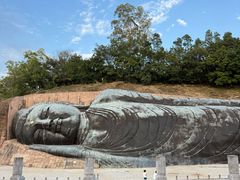 -三水森林公园