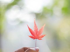 -西湖游船