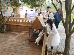 -HERRE·FARM 赫尔露营农场·团建聚会包场