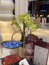 -洁铭新加坡医美